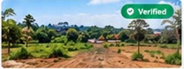 Land plot in Limbe