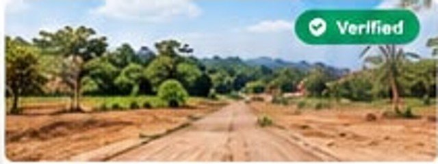 Green land in Yaoundé